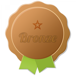 Bronze Sponsor Level Icon