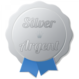 Silver Sponsor Level Icon